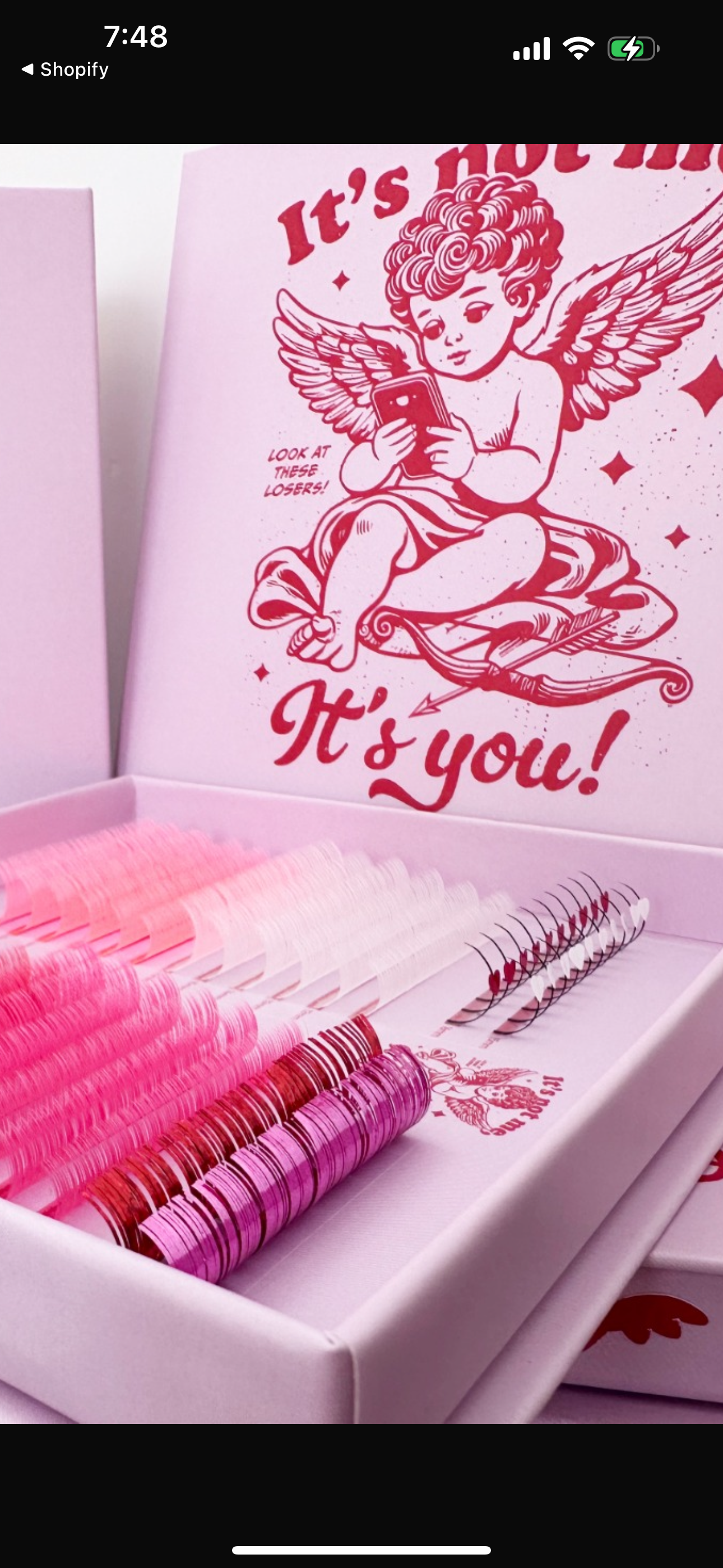 It’s not me, It’s you LK Palette